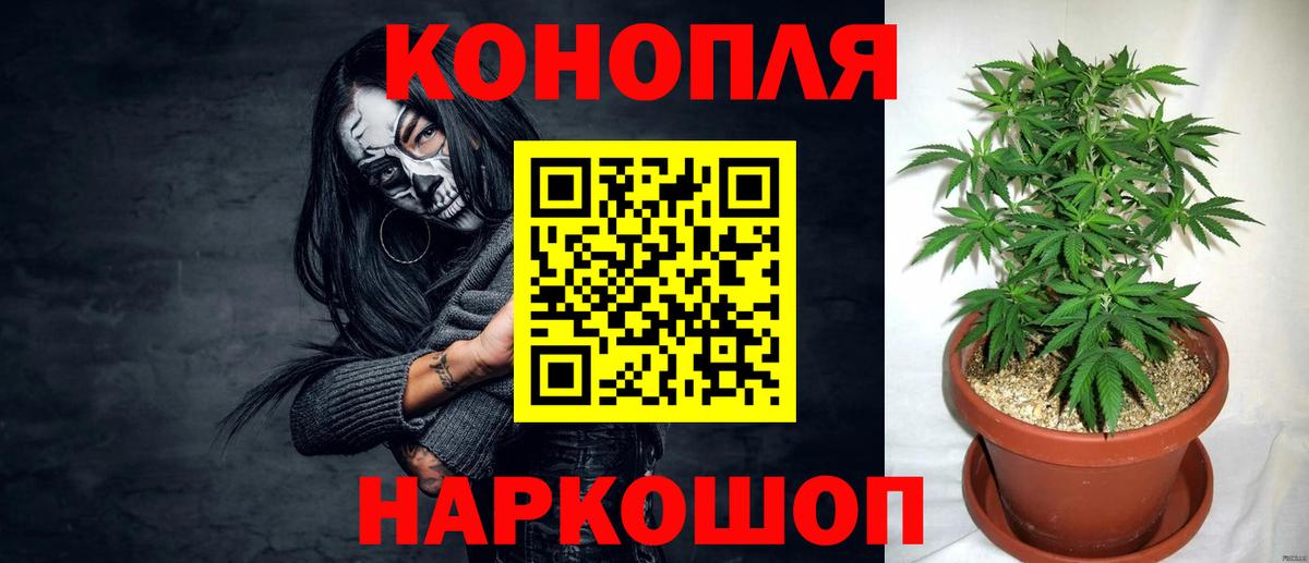 Конопля Bruce Banner  Бошки марихуана планчик  МАРИХУАНА марихуана  Красноармейск  Вход с VPN 